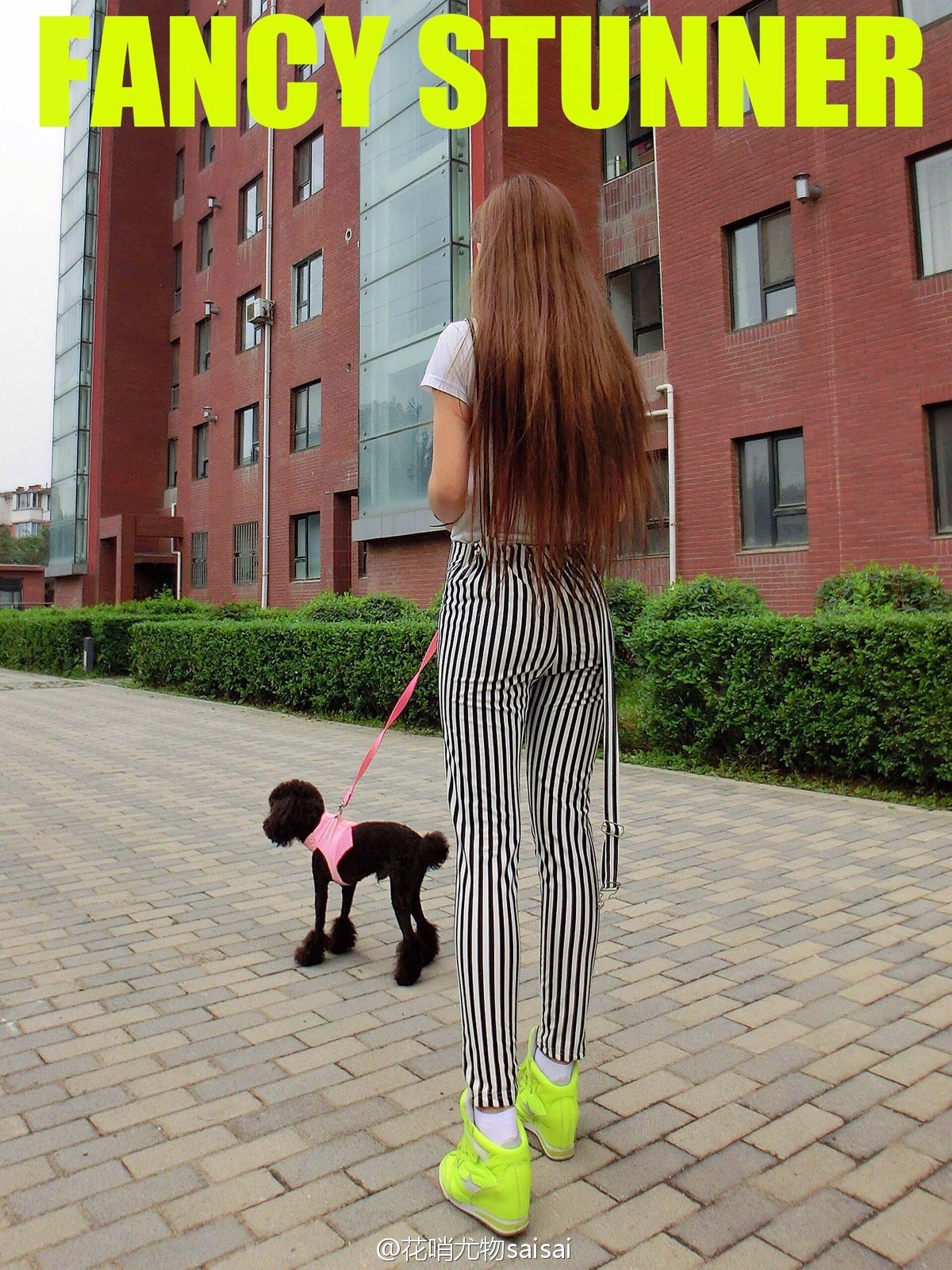 花哨尤物saisai的微博列表微女郎